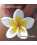 reconciliation jacotte chollet musique relaxante anti stress relaxation profonde méditation